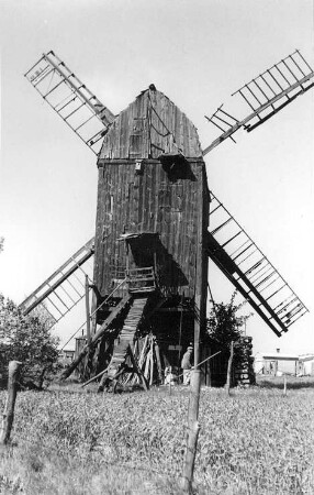 Colbitz. Lindemanns Mühle, Bockmühle, Baujahr 1861 (1992 umgesetzt)