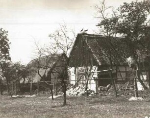 Koselitz, Bauernhof Bischoff, strohgedeckte Scheune mit Storchennest