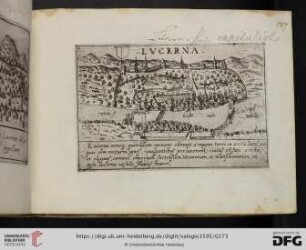 Lucerna