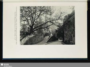 Der große Hohlweg zur Burg