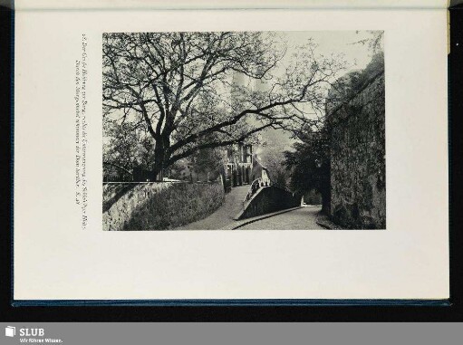 Der große Hohlweg zur Burg