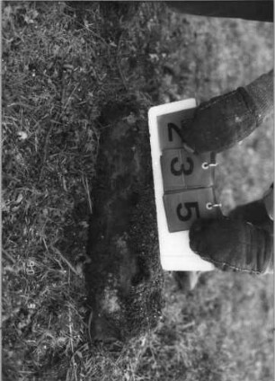 Grabstein 235 (Index: 100115135) Zustand: Fragment (Sockel) Beschreibung: Sockel: Grabstein 235