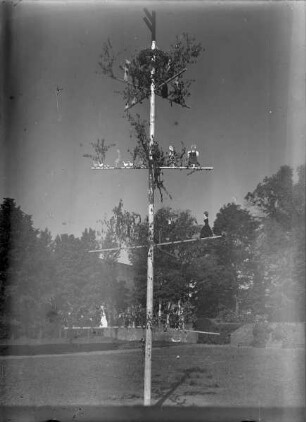 Maibaum