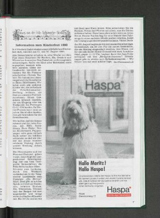 Information zum Kinderfest 1993