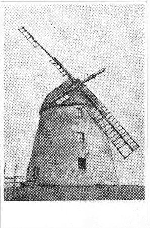 Görlitz-Klingewalde. Holländermühle, aus: Neuer Görlitzer Anzeiger vom 1.12.1931
