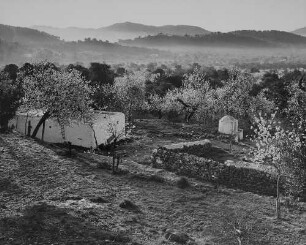 Archivfotografie "ausland_spanien_ibiza_landschaft_21366"