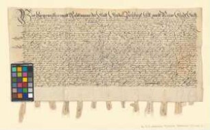 Altmärkische und prignitzsche Städte verschreiben sich Michael Wünsch, Krüger zu Zichtau, über 700 Taler.