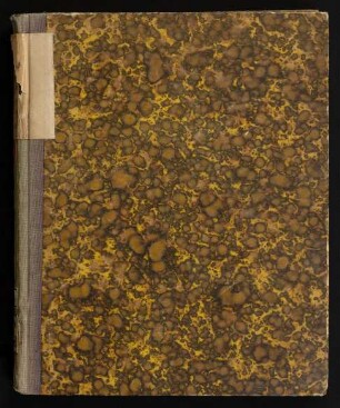 Bina sanctarvm Elisabetharvm : veluti illustrissimarum sec. XII. et XIII. testium veritatis Evangelicae in Hassia memoria