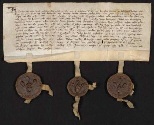 Eberhard von Lupfen der Alte, Graf zu Stühlingen, und seine Söhne Eberhard und Hug geben ihrem Vetter Heinrich von Lupfen ihre Güter in Schura und Tuningen.