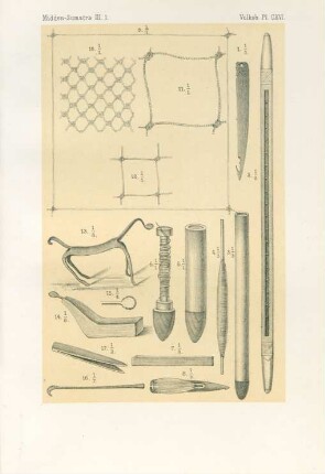 Pl. CXVI