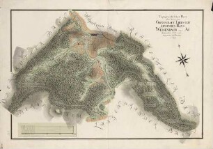 Topographischer Plan über den in der Gravschaft Eberstein liegenden Bann Weisenbach und Au