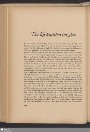 Vor Krokodilen im Zoo