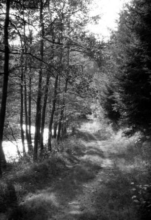 An der Preßnitz