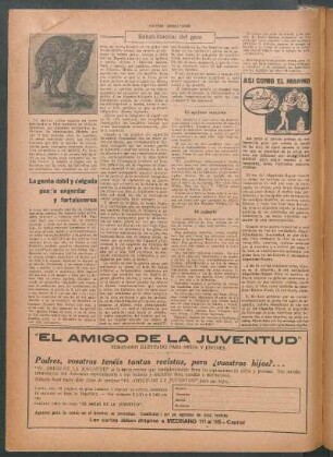 El apellido materno