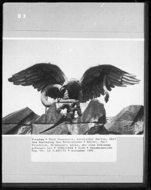 Adler, der eine Schlange gefangen hat
