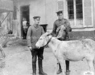 Deutsche Soldaten mit Tieren an der Westfront