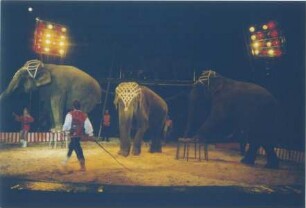 Circus Berolina, Magdeburg - Berlin, 1973-2004