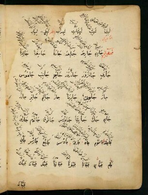 faṣl bi'l-cīm