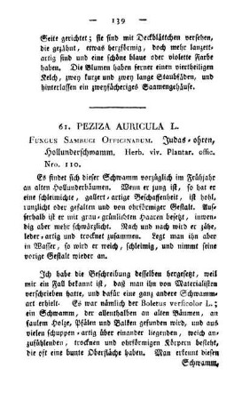 61. Peziza auricula L.