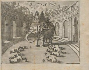 Fig. XXV. Le Roy monte sur son Elephant