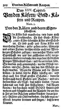 Das XXV. Capitel. Von den Käfern, Gold-Käfern und Raupen.