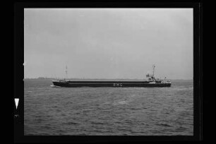 Thekla Wessels (1981), Wessels, Haren