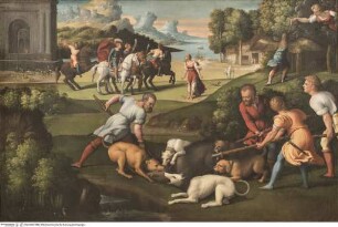 Die Verwandlung des Picus in einen Specht