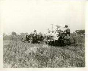Fordson-Traktor