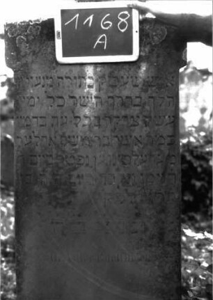 Grabstein 1168 (Index: 100104300) Material: Sandstein Zustand: leicht verwittert Maße HxBxT: 178x54x22 cm Beschreibung: Stele auf getrepptem Sockel, flachbogiger, seitlich auskragender Abschluss mit halbkreisförmiger Erhöhung in der Mitte (Blüte?) Symbolik: Blüte?: Grabstein 1168A