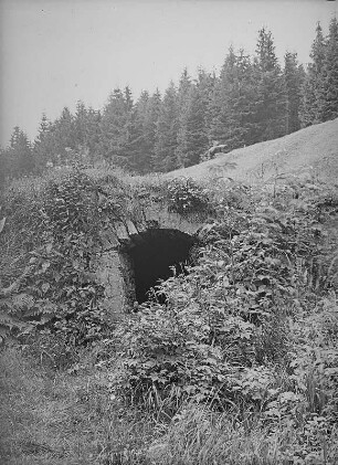Westerzgebirge, Mundloch des Ludwig Stolln im Auersberger Grund, im Tal der Kleinen Bockau