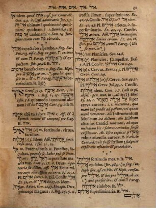 Hen. Opitii Novum lexicon Hebraeo-Chaldaeo biblicum : complectens 1. radices, 2. ... formas ...