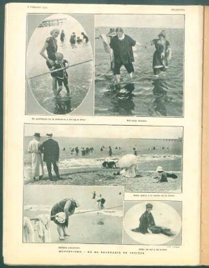 Montevideo. - En el Balneario de Pocitos