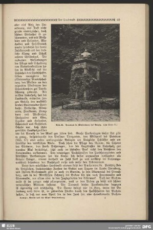 Brunnen in Wiesenburg bei Belzig