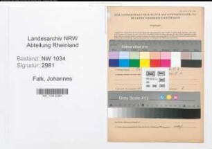 Entnazifizierung Johannes Falk , geb. 26.02.1887 (Feldwebel)
