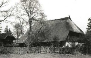 Hermannsburg-Oldendorf. Bauernhaus mit Reetdeckung