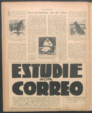 Los animales en el cine