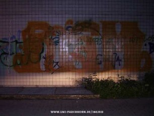 RiSM