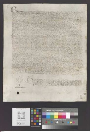 Seligenstadt: Executoriales, concernentis beneficium altaris S.S. apostolorum ecclesiae B. Mariae parochialis in Selgenstadt, quod a sede apostoli...