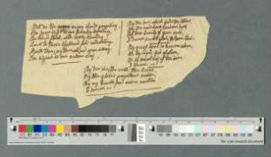 Textauszüge englischer Lieder, Abschrift