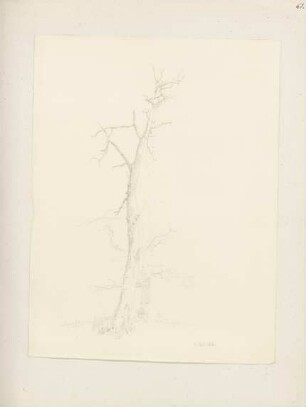 Klebebände, Band 22, Seite 61