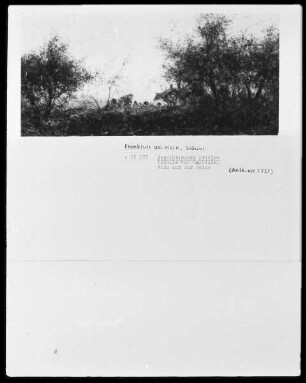Landschaft mit Kühen