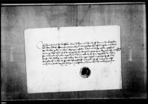 Hans Münch von Landskron, Ritter, quittiert Graf Ulrich V. über 100 fl. für abgegangene Pferde.