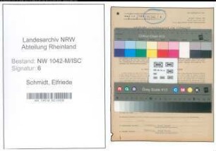 Entnazifizierung Elfriede Schmidt , geb. 19.02.1889 ()