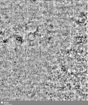 Lilienschild + IESV / LW = Bd.1,S.33/34