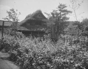 Bauernhaus in Nagaike : Ansicht mit Beeten