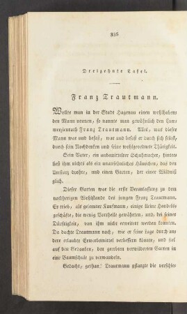 Dreizehnte Tafel.