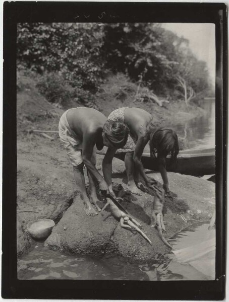 Chocó women take out iguana lizards