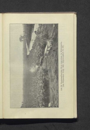 Abb. 32. Bananenpflanzung, Musa sapientum, in Mittelamerika. (Aus Petermanns Georg. Mitt. Ergänzungsheft Nr. 69.)