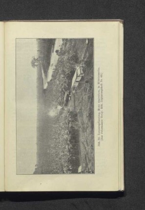 Abb. 32. Bananenpflanzung, Musa sapientum, in Mittelamerika. (Aus Petermanns Georg. Mitt. Ergänzungsheft Nr. 69.)