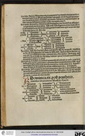 Dominica xix post penthecostes.